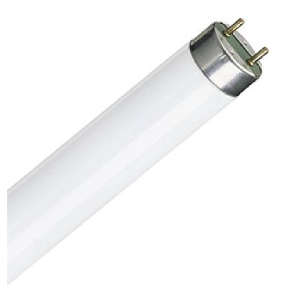 T8 led warm white online