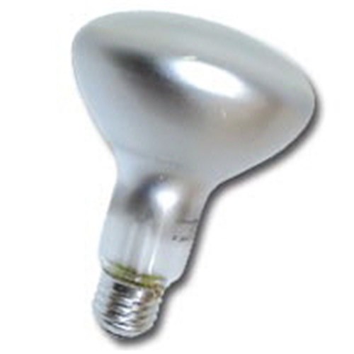 240V E27 100W R95 FROSTED R95x130mm 1,000HR  GE 328816 / CR 11352