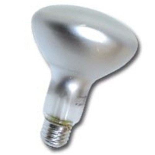 240V E27 100W R95 FROSTED R95x130mm 1,000HR  GE 328816 / CR 11352