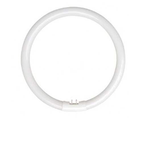 22W G10Q 4000K T5 CIRCULAR COOL WHITE