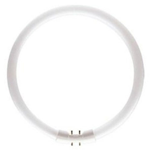 22W 2GX13 4000K T5 CIRCULAR COOL WHITE