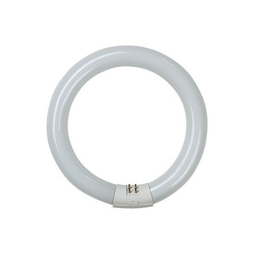 22W G10Q 6500K CIRCULAR DAYLIGHT