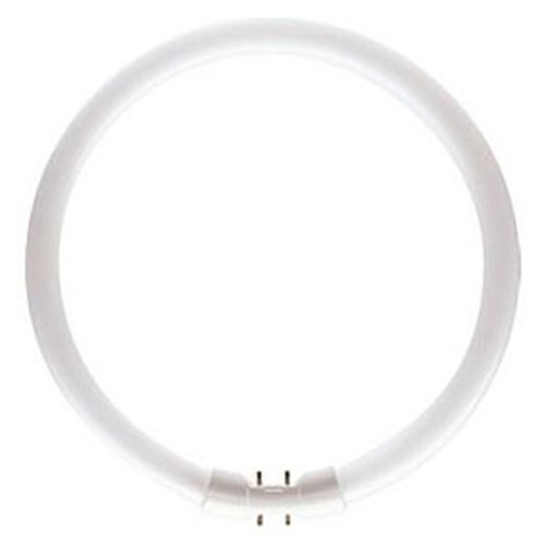 40W T5 2GX13 4000K CIRCULAR COOL WHITE