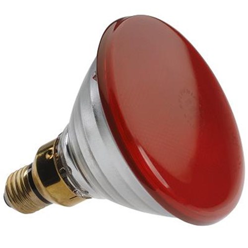 240V E27 100W PAR38 IR  RED 5000HR IRPAR38100WR  Heat Lamp